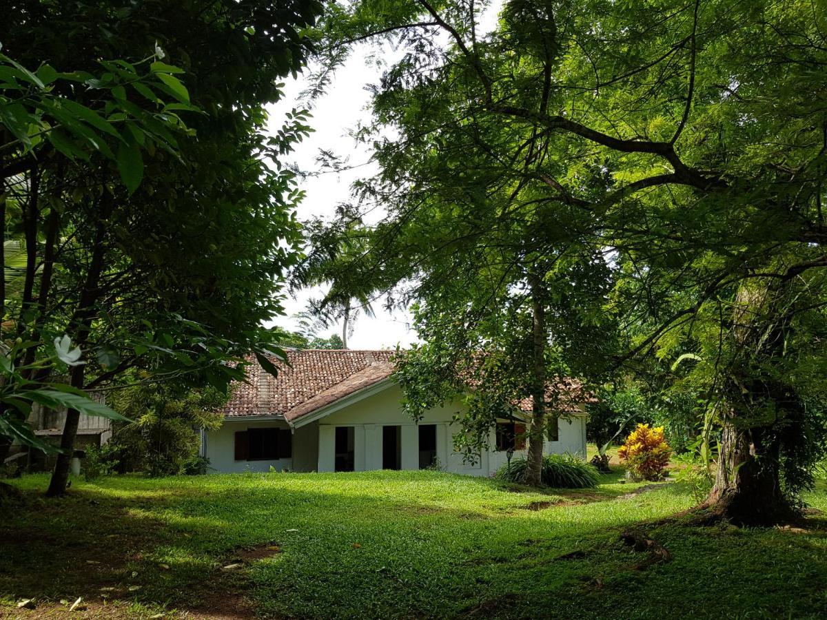 Hotel Chitra Ayurveda Bentota Exteriér fotografie
