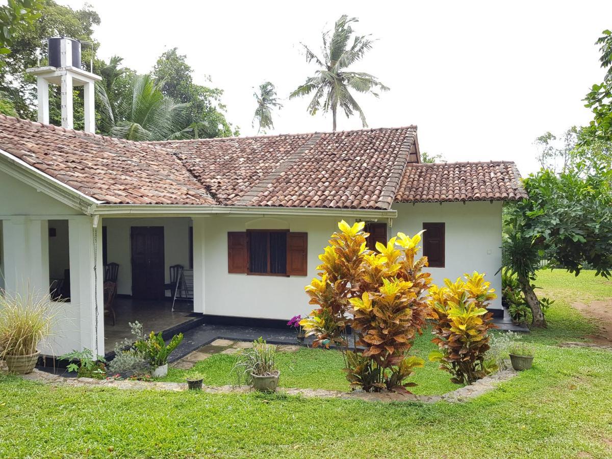 Hotel Chitra Ayurveda Bentota Exteriér fotografie
