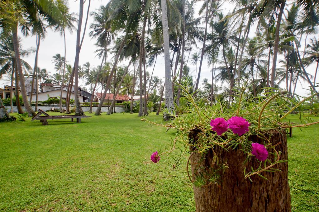 Hotel Chitra Ayurveda Bentota Exteriér fotografie